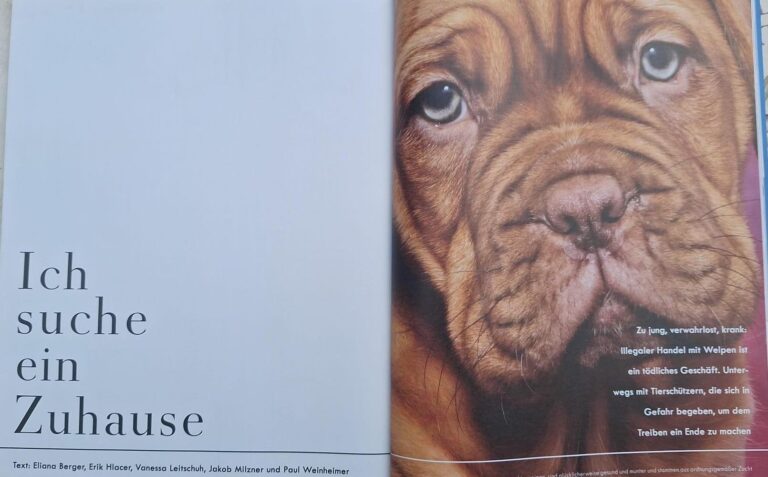 die_zeit_verbrechen_welpenhandel_frankfurt_2