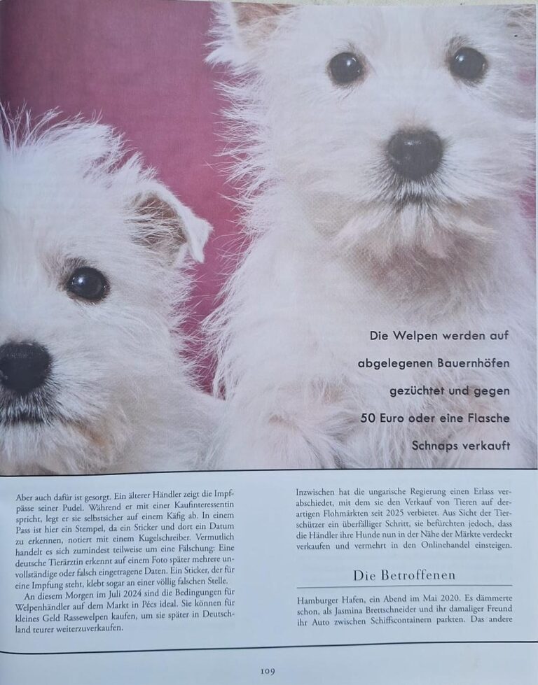 die_zeit_verbrechen_welpenhandel_frankfurt_6