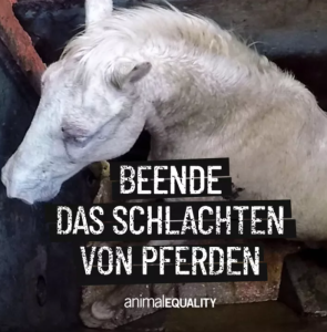 petition_pferde_schlachten